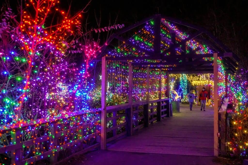 Holiday Lights